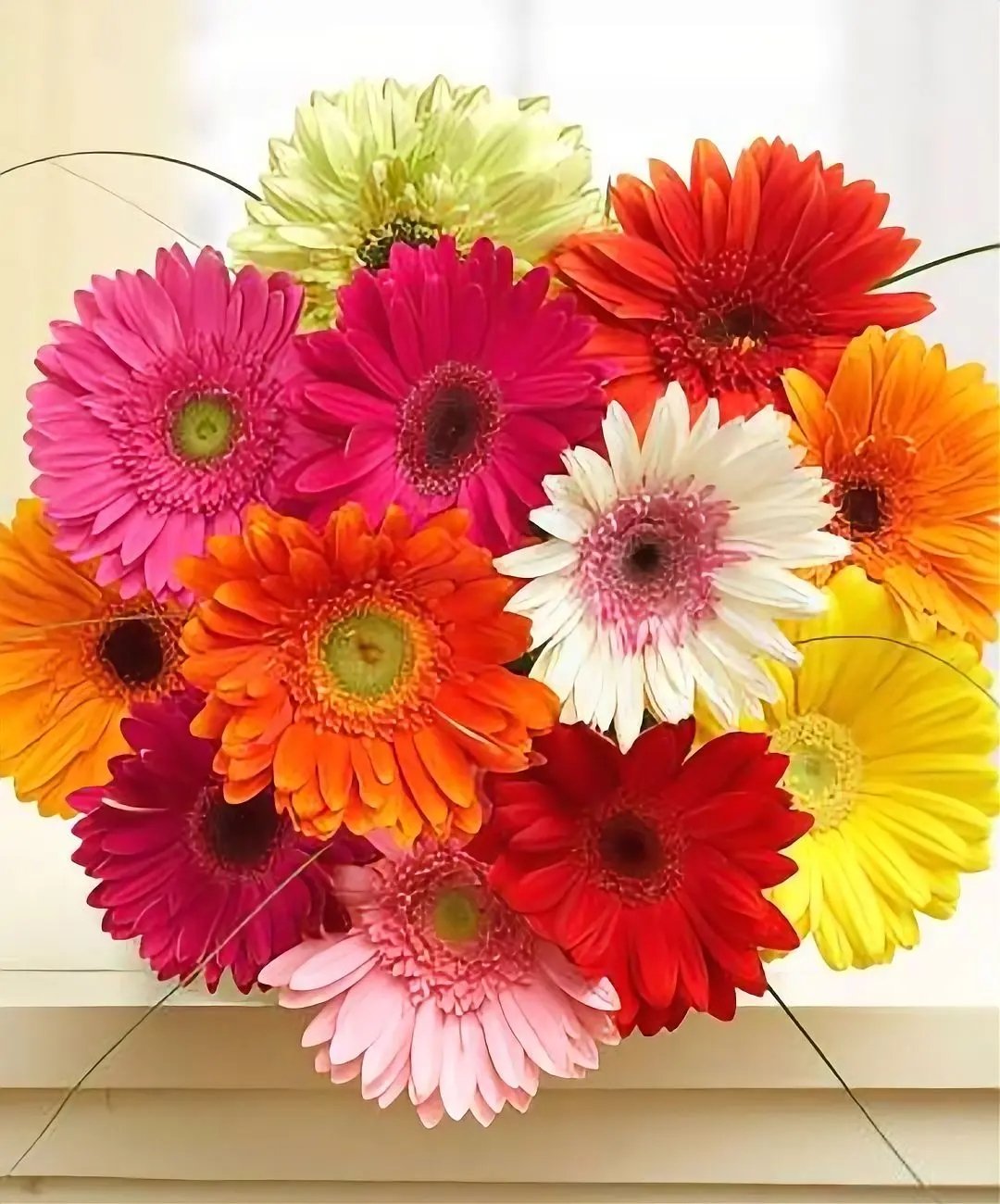 Fresh Flowers