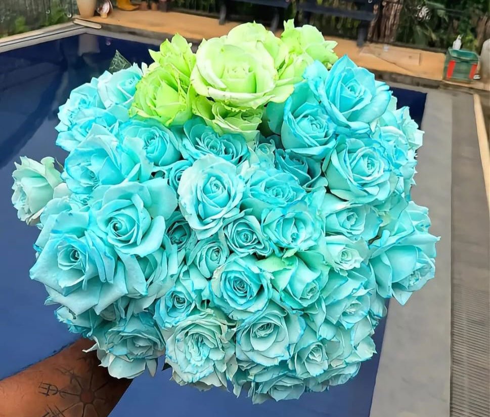 Flower Preservation